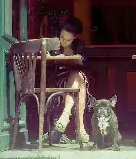 Person in wooden chair with French bulldog at feet in Ktaiwanita collection.